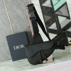 Christian Dior Saddle Bags